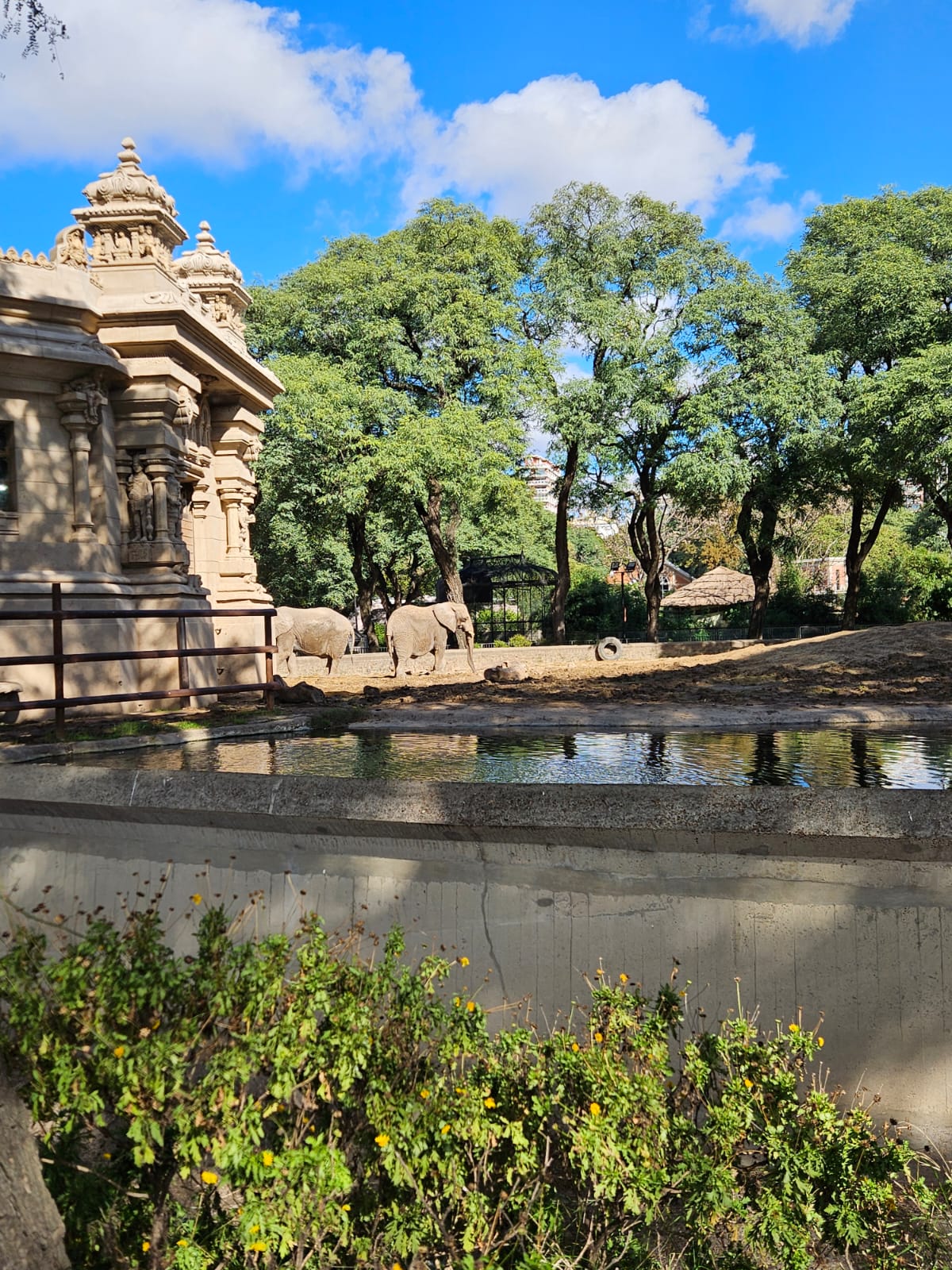 Recinto Elefantes - Imagen 1