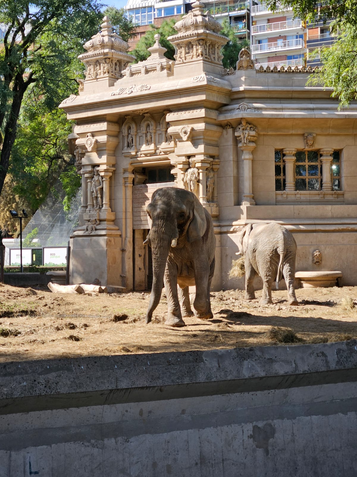 Recinto Elefantes - Imagen 4