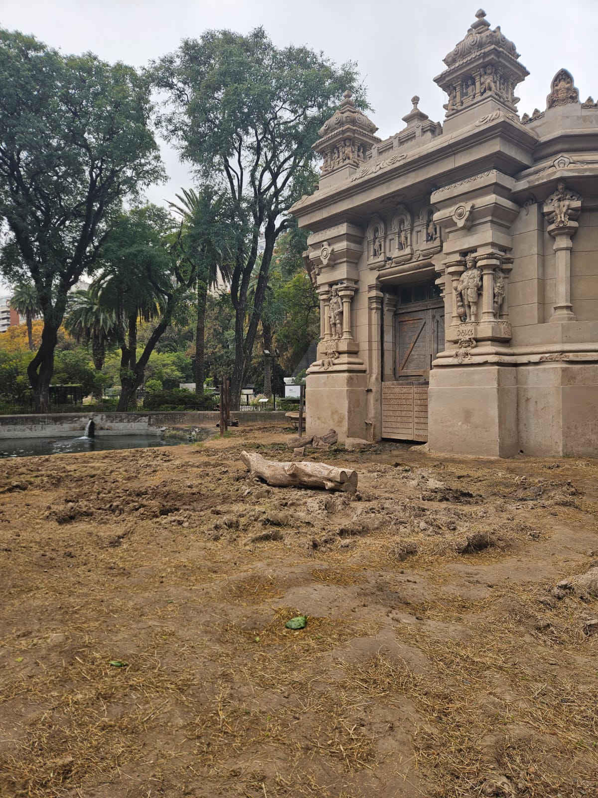 Recinto Elefantes - Imagen 5